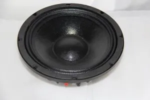 10 dyuymli 300W RMS NEO Pro Ovozli Karnay Subwoofer